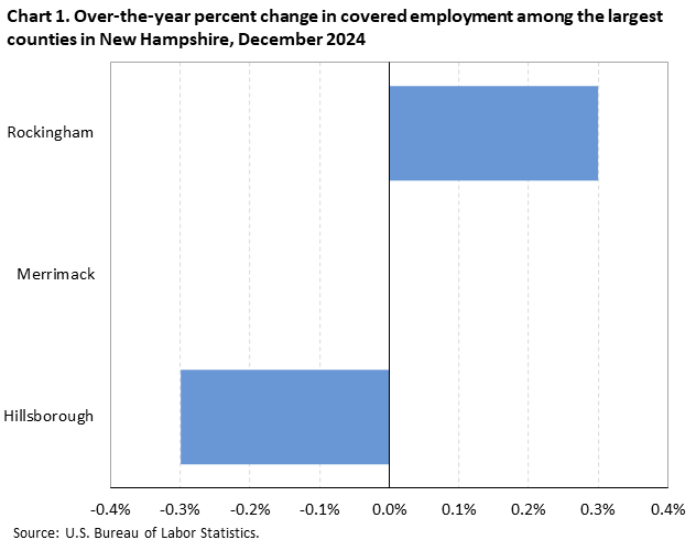 Horizontal bar chart showing over-the-year percent change in covered employment among the largest counties in New Hampshire in December 2024.
